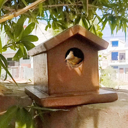 Handmade Organic Bird Nest - Cow Made Classic Bird House